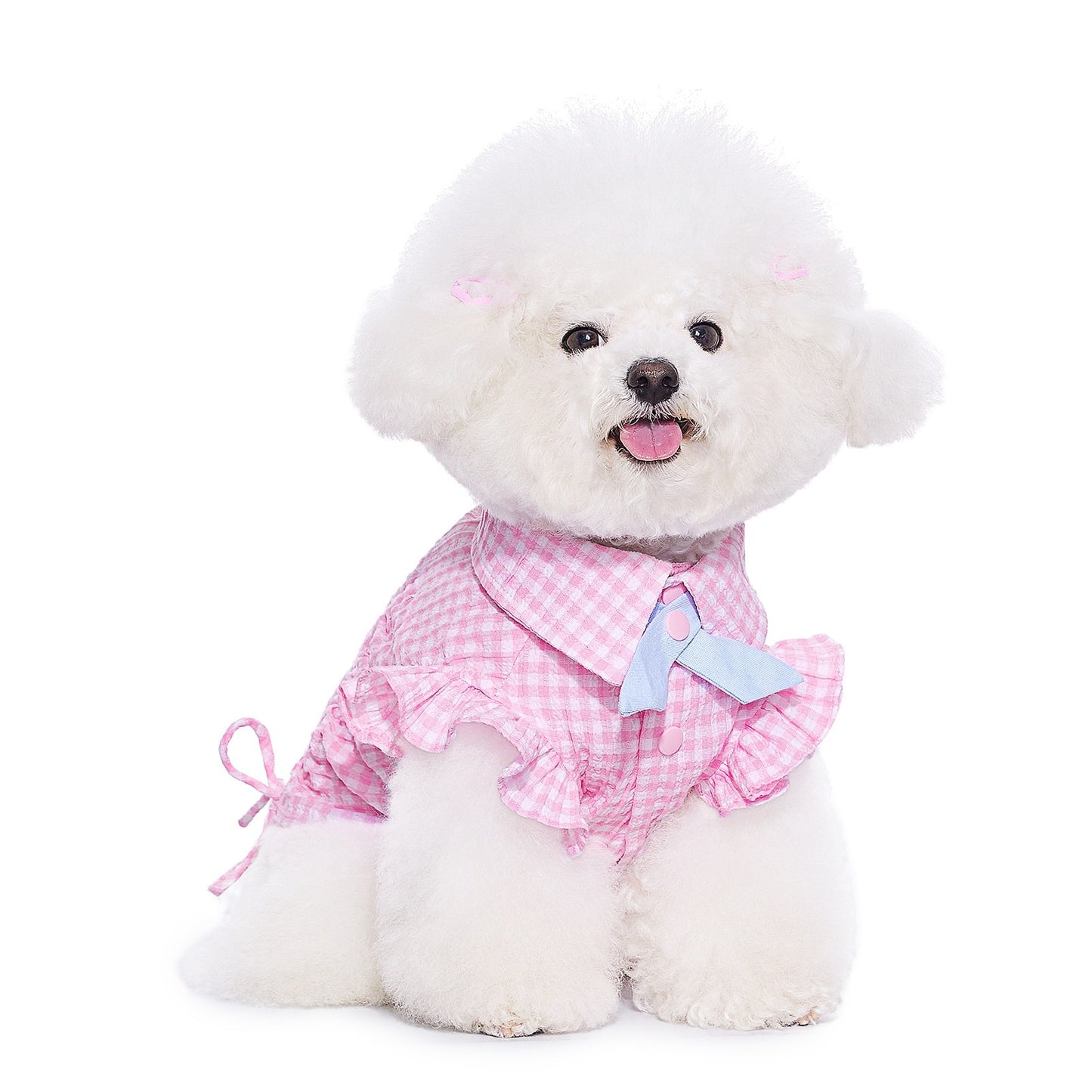 Teddy Schnauzer Shirt