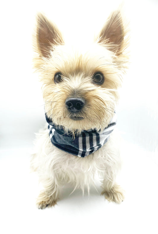 'Bobby' Reversible Pet Snood