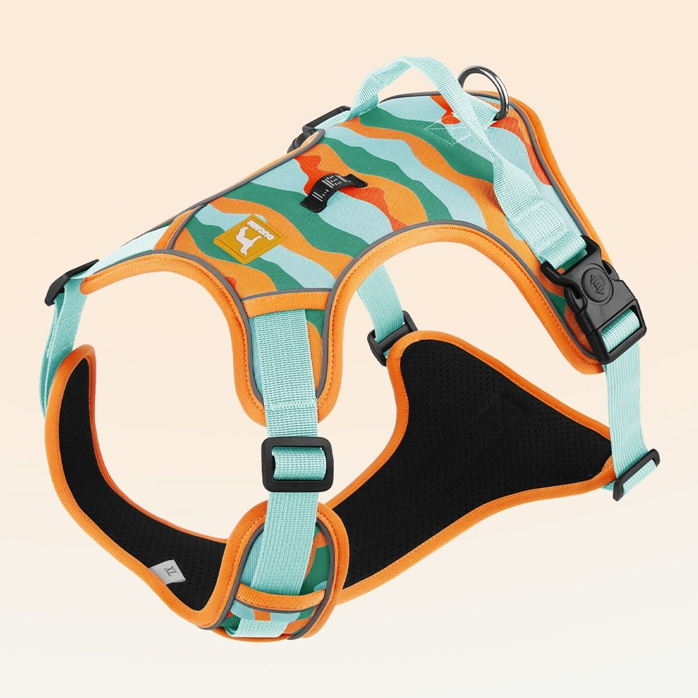 Pet Harness