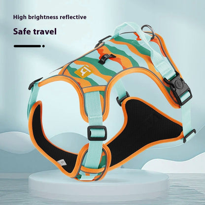 Pet Harness