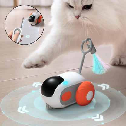 Crazy-Joy Cat Car