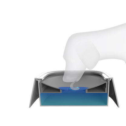 Feeder Dispenser / Pet Fountain