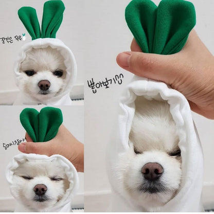 Cozy Fruit Dog Hoodie