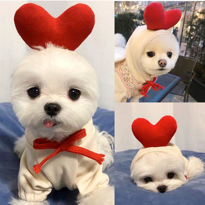Cozy Fruit Dog Hoodie