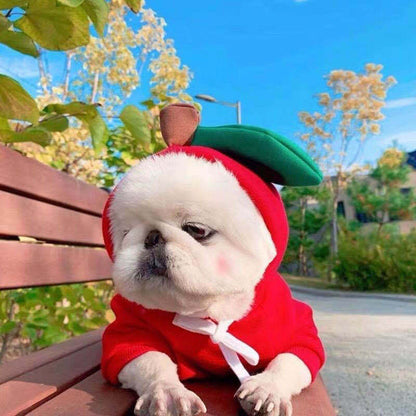 Cozy Fruit Dog Hoodie