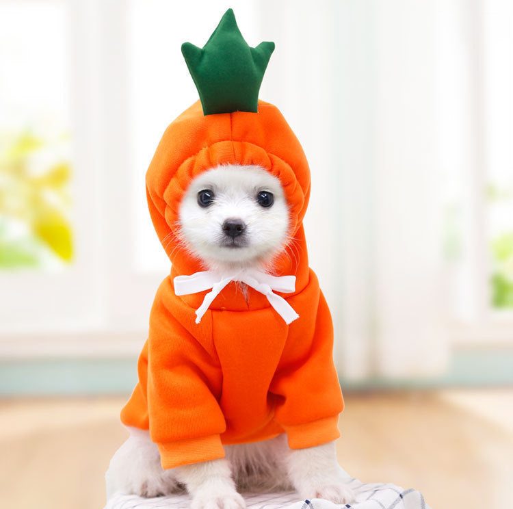 Cozy Fruit Dog Hoodie