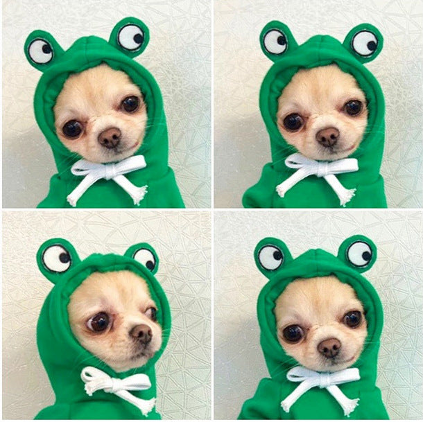 Cozy Fruit Dog Hoodie