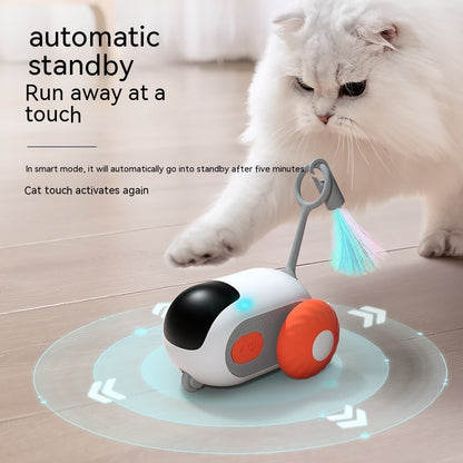 Crazy-Joy Cat Car