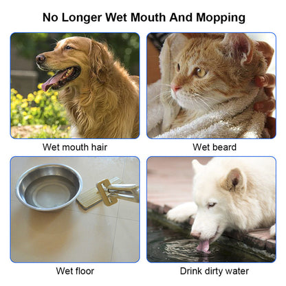 Feeder Dispenser / Pet Fountain