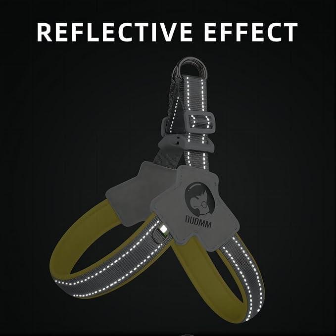 No-Pull Comfort Harness & Leash Set