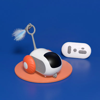 Crazy-Joy Cat Car