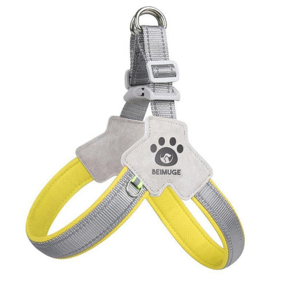 No-Pull Comfort Harness & Leash Set