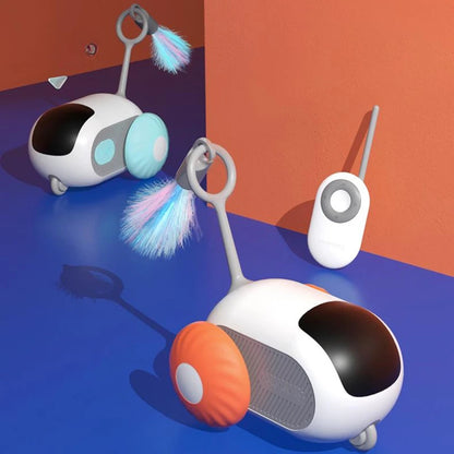Crazy-Joy Cat Car
