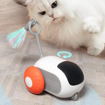 Crazy-Joy Cat Car