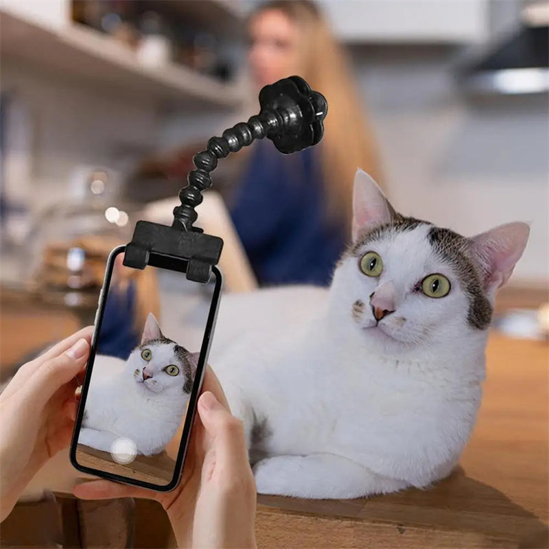 Pet selfie trick Tool