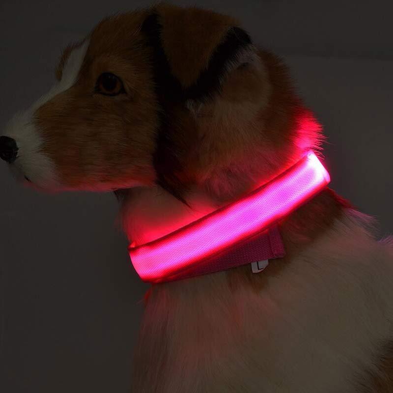 Nylon LED Luminous Pet Collar