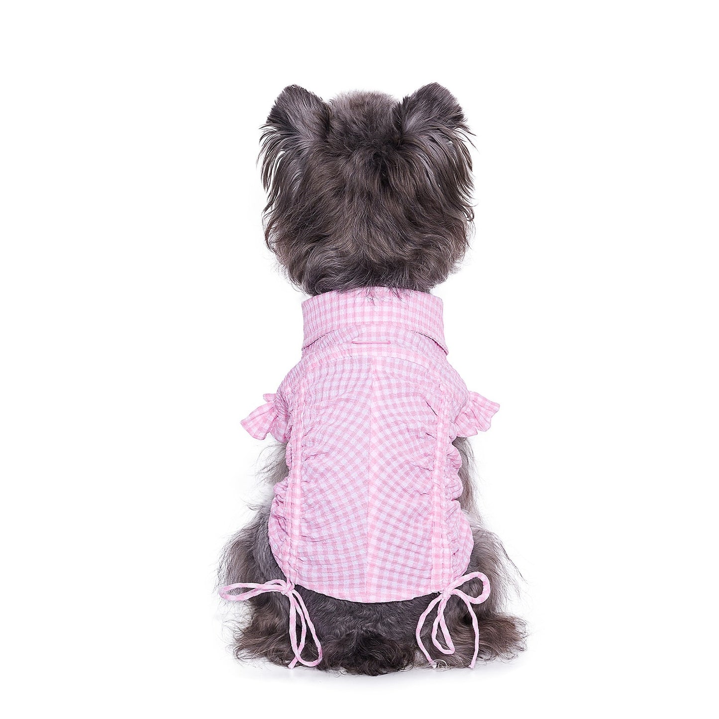 Teddy Schnauzer Shirt