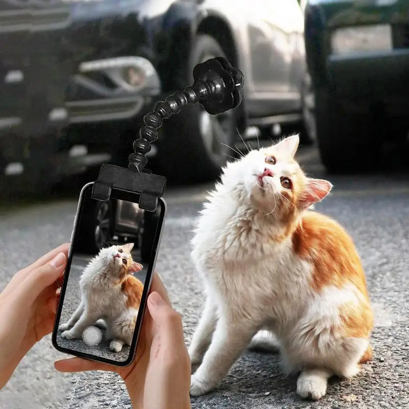 Pet selfie trick Tool