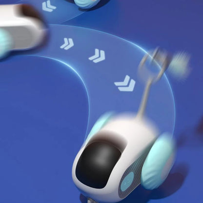 Crazy-Joy Cat Car
