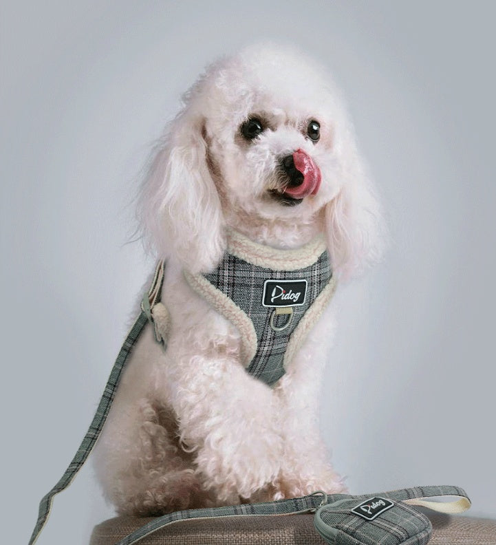 Puppy dog & cat leash