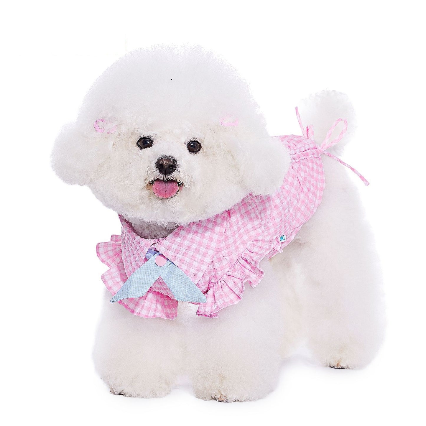 Teddy Schnauzer Shirt