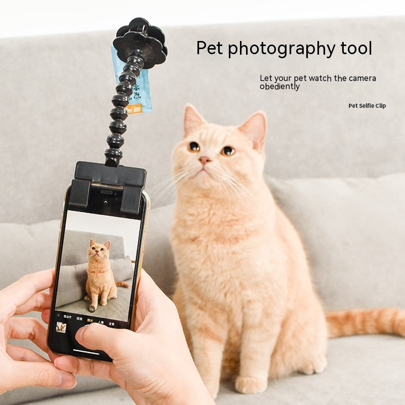 Pet selfie trick Tool