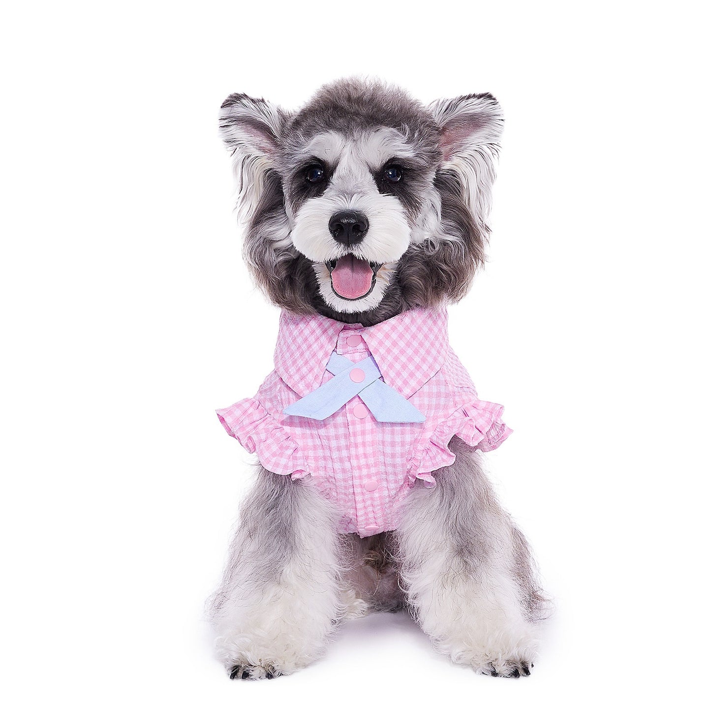 Teddy Schnauzer Shirt