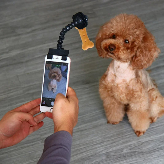 Pet selfie trick Tool