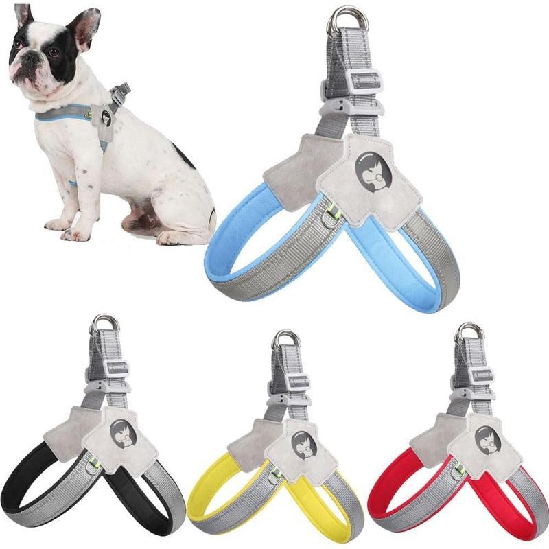 No-Pull Comfort Harness & Leash Set