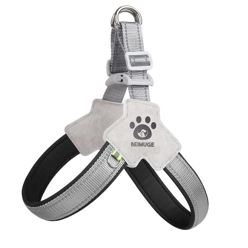 No-Pull Comfort Harness & Leash Set