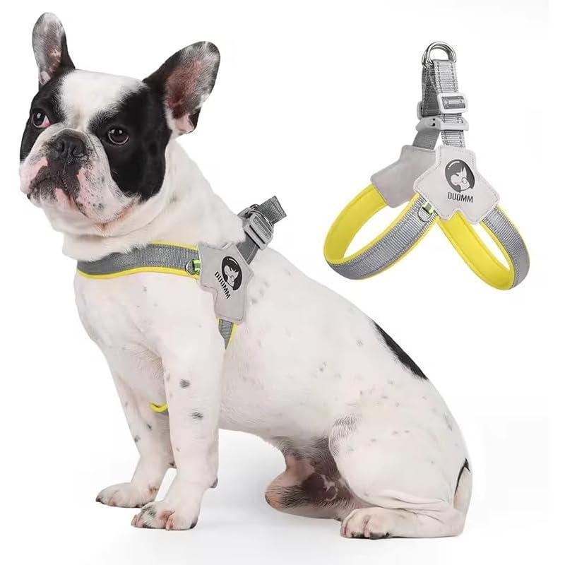 No-Pull Comfort Harness & Leash Set