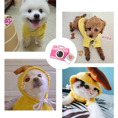 Cozy Fruit Dog Hoodie