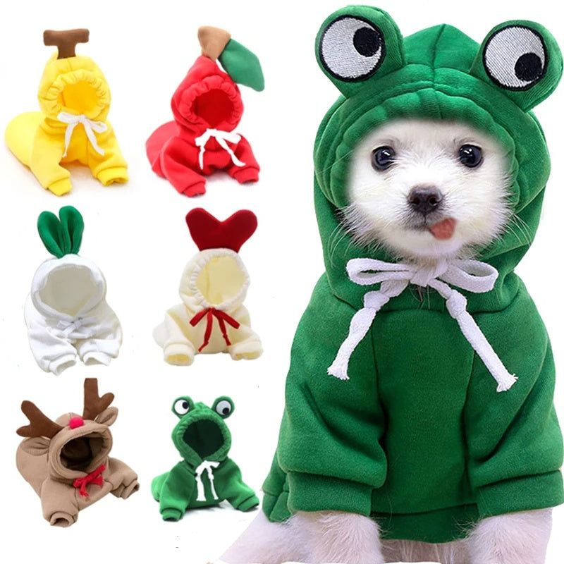 Cozy Fruit Dog Hoodie