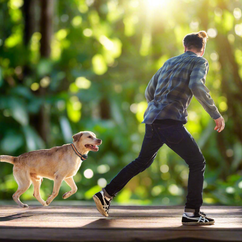 2 In 1 Dog GPS Tracker Wireless