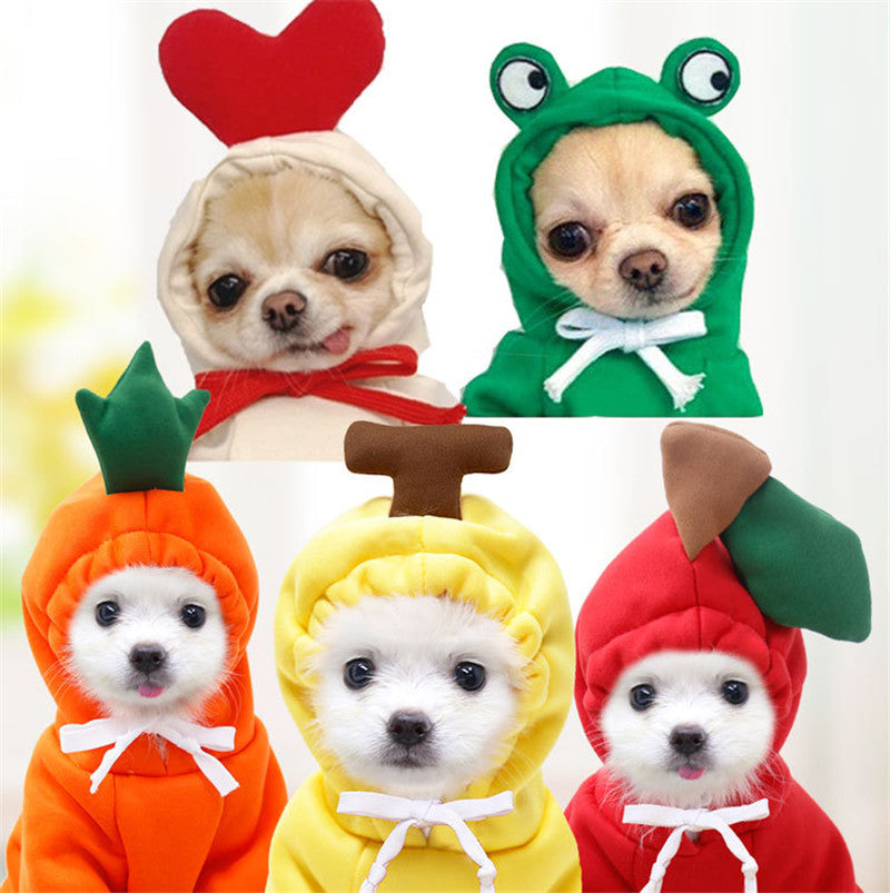 Cozy Fruit Dog Hoodie