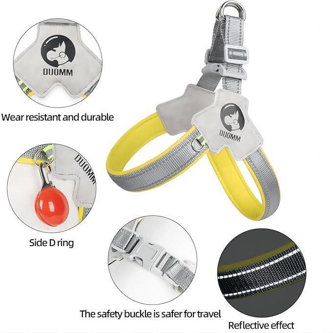 No-Pull Comfort Harness & Leash Set