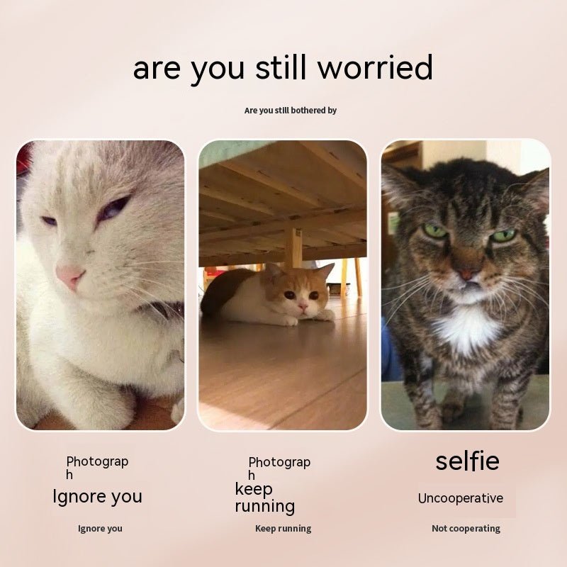 Pet selfie trick Tool