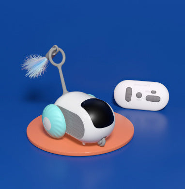 Crazy-Joy Cat Car