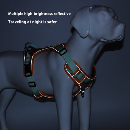 Pet Harness