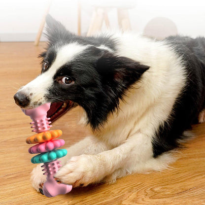 TailTrekGear Toy Dog Bone