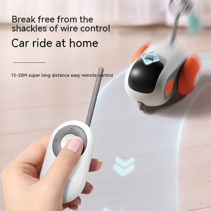 Crazy-Joy Cat Car