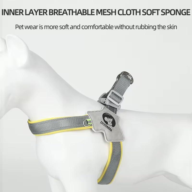No-Pull Comfort Harness & Leash Set